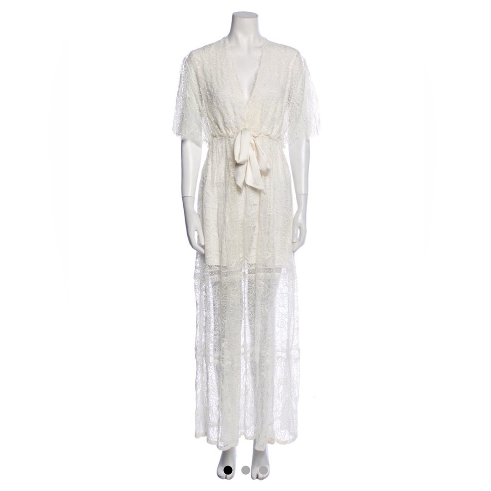 Alexis plunge neckline lace maxi dresss